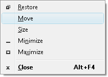 Fig. 1. Move command in system menu.
